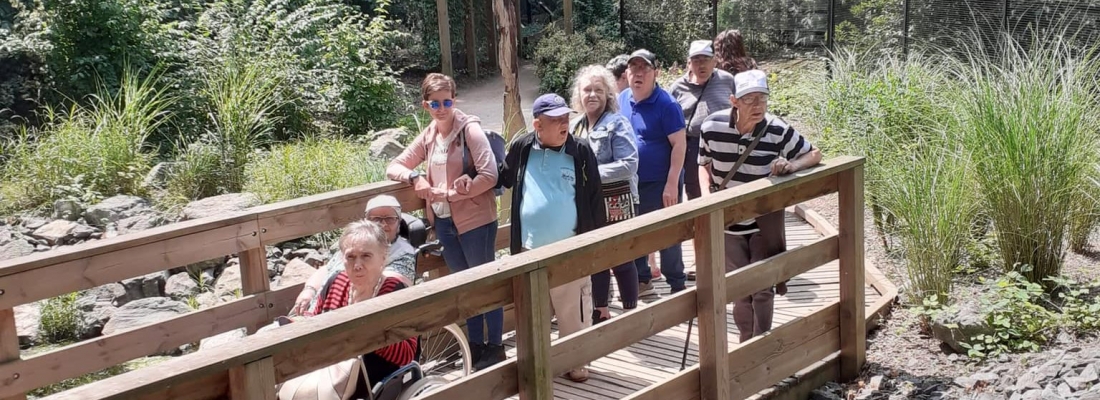 Sortie au Parc des Cityses